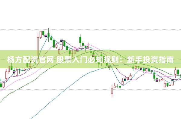 杨方配资官网 股票入门必知规则：新手投资指南