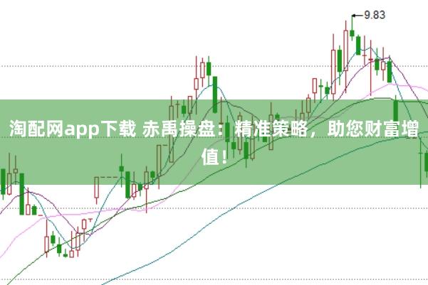 淘配网app下载 赤禹操盘：精准策略，助您财富增值！