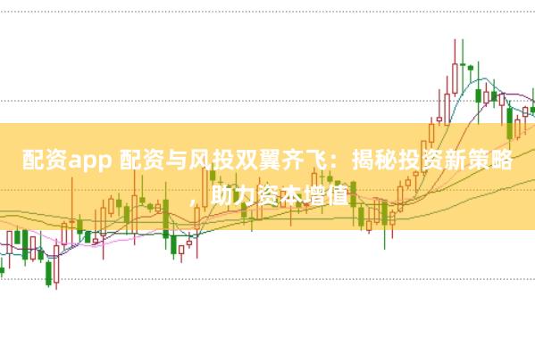 配资app 配资与风投双翼齐飞：揭秘投资新策略，助力资本增值