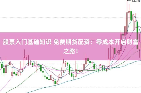 股票入门基础知识 免费期货配资：零成本开启财富之路！