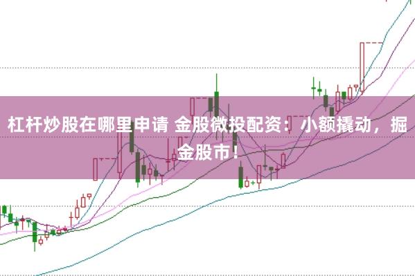 杠杆炒股在哪里申请 金股微投配资：小额撬动，掘金股市！