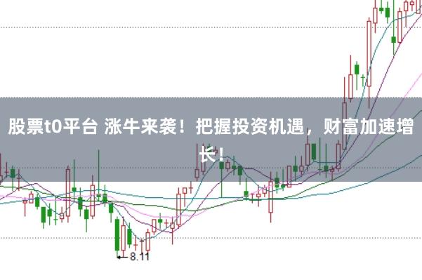 股票t0平台 涨牛来袭！把握投资机遇，财富加速增长！