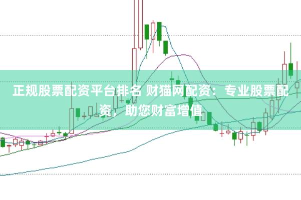 正规股票配资平台排名 财猫网配资：专业股票配资，助您财富增值