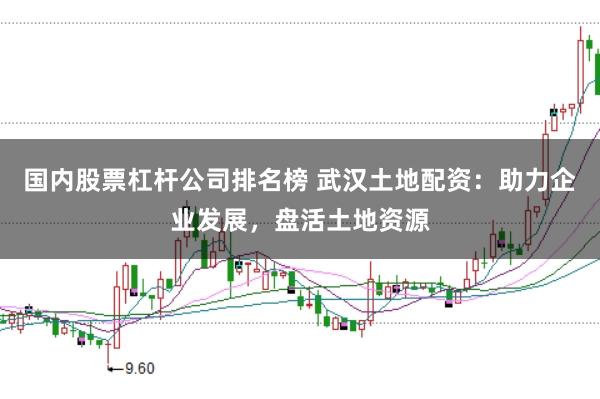 国内股票杠杆公司排名榜 武汉土地配资：助力企业发展，盘活土地资源