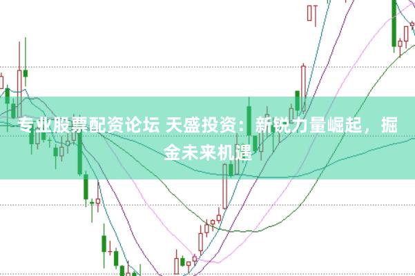专业股票配资论坛 天盛投资：新锐力量崛起，掘金未来机遇