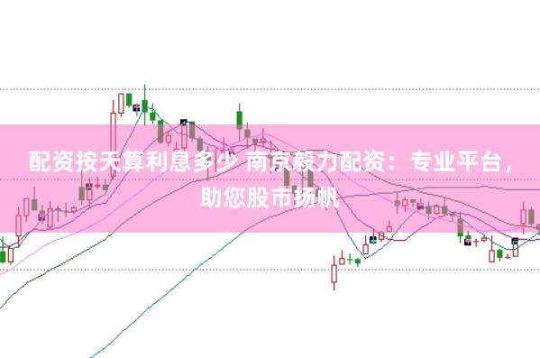 配资按天算利息多少 南京毅力配资：专业平台，助您股市扬帆