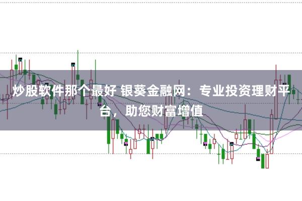 炒股软件那个最好 银葵金融网:专业投资理财平台,助您财富增值