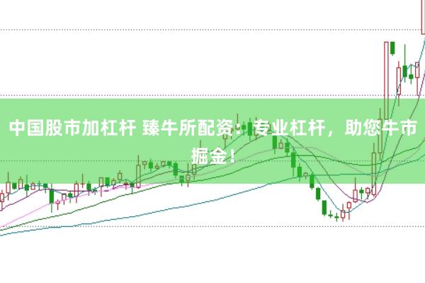 中国股市加杠杆 臻牛所配资：专业杠杆，助您牛市掘金！