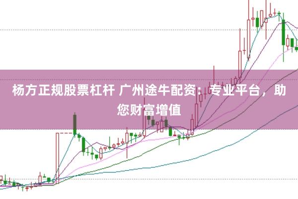 杨方正规股票杠杆 广州途牛配资：专业平台，助您财富增值