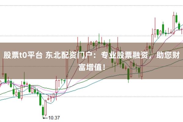 股票t0平台 东北配资门户：专业股票融资，助您财富增值！