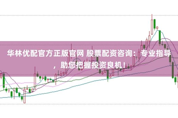 华林优配官方正版官网 股票配资咨询：专业指导，助您把握投资良机！