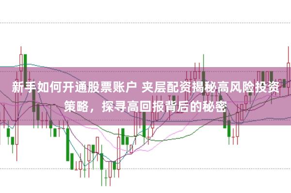 新手如何开通股票账户 夹层配资揭秘高风险投资策略，探寻高回报背后的秘密