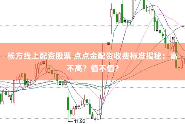 杨方线上配资股票 点点金配资收费标准揭秘：高不高？值不值？