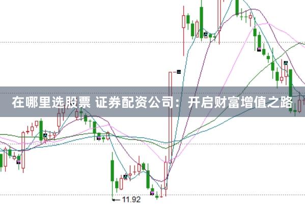 在哪里选股票 证券配资公司：开启财富增值之路