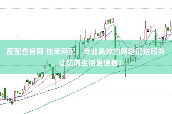 配配查官网 佳荣网配：专业高效的网络配送服务，让您的生活更便捷！