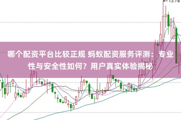 哪个配资平台比较正规 蚂蚁配资服务评测：专业性与安全性如何？用户真实体验揭秘