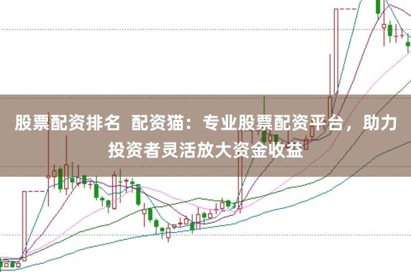 股票配资排名  配资猫：专业股票配资平台，助力投资者灵活放大资金收益