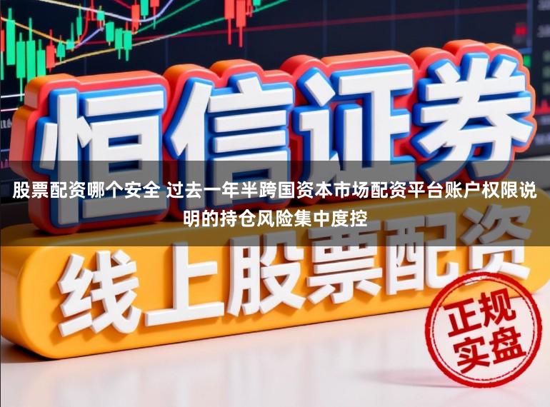 股票配资哪个安全 过去一年半跨国资本市场配资平台账户权限说明的持仓风险集中度控