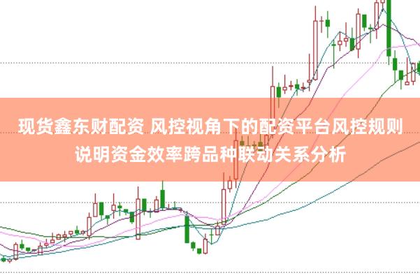 现货鑫东财配资 风控视角下的配资平台风控规则说明资金效率跨品种联动关系分析