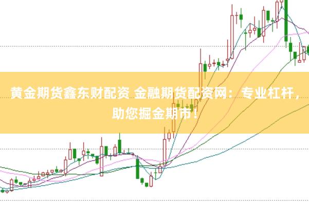 黄金期货鑫东财配资 金融期货配资网：专业杠杆，助您掘金期市！