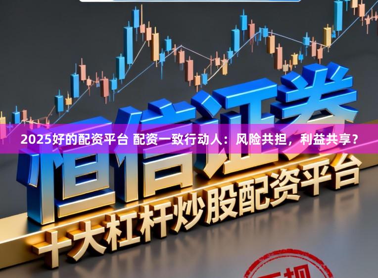 2025好的配资平台 配资一致行动人：风险共担，利益共享？